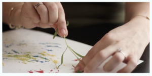 painting with nature pbs